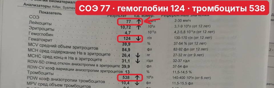 Скриншот анализа